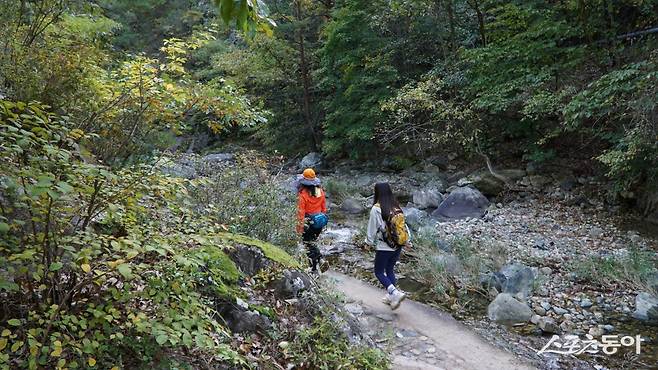 덕구계곡의 풍광을 즐기는 가을 등산객들. 응봉산 정상 부근의 급경사를 제외하고는 주차장에서 원탕까지의 트레킹 코스는 난이도가 높지 않아 가벼운 마음으로 방문할 수 있다.     울진｜김재범 기자 oldfield@donga.com