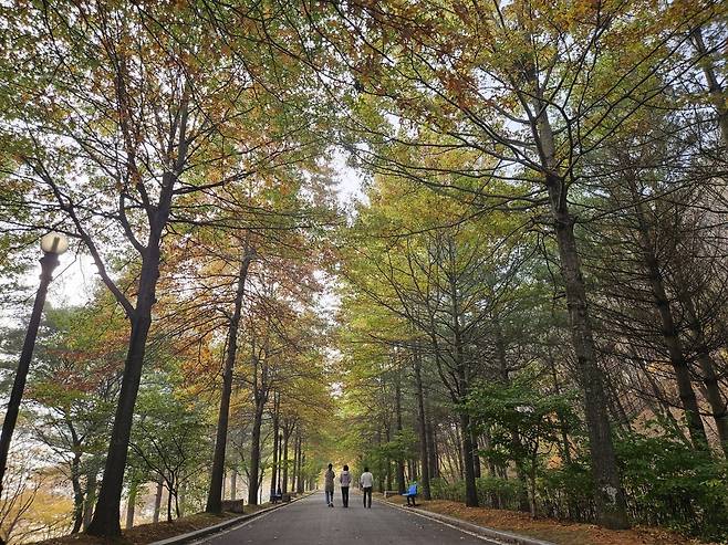 국립평창청소년수련원 전경 [한국청소년활동진흥원 제공]