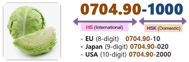 HSK 예시. (자료=기재부 제공)