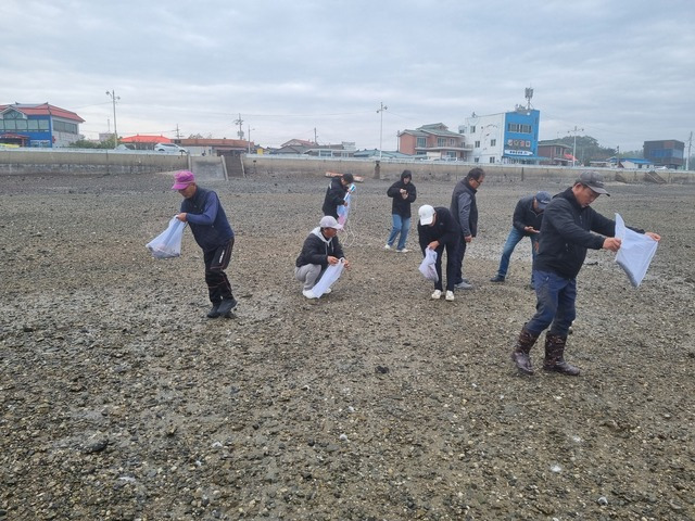 충남도 수산자원연구소 관계자들이 1일 어린 바지락을 방류하고 있는 모습. 충남도 수산자원연구소 제공