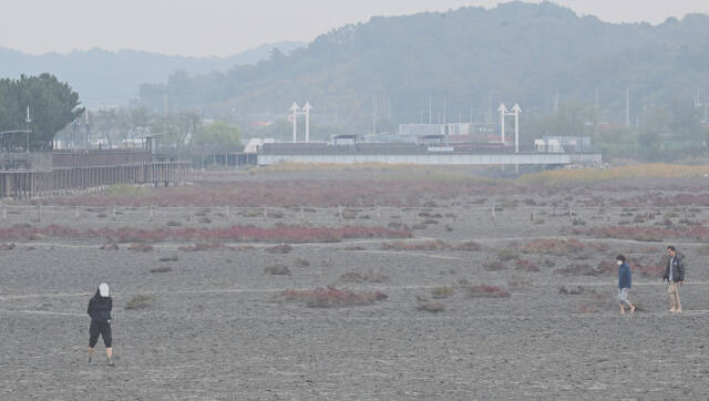 기사와 관련 없는 자료사진. 경기일보DB