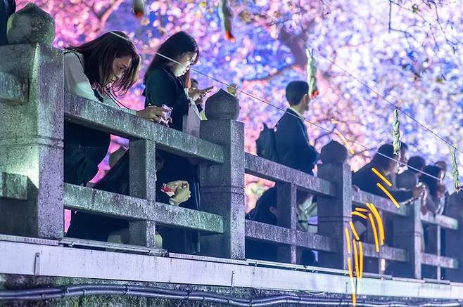 [함안=뉴시스]일본인 관광객 450여 명, 함안군 '낙화놀이' 즐겨.2024.11.01.(사진=함안군 제공) photo@newsis.com *재판매 및 DB 금지