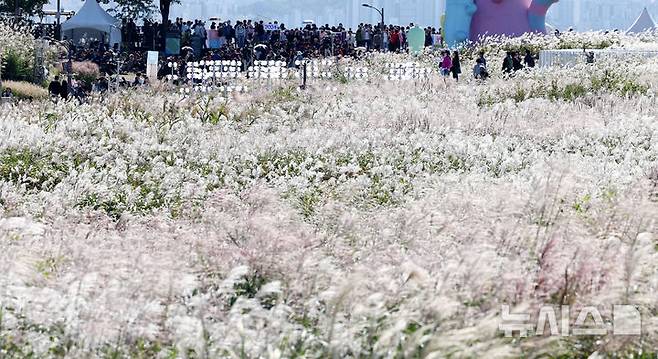 [서울=뉴시스] 추상철 기자 = 20일 오후 서울 마포구 하늘공원에서 열린 '서울억새축제'에서 시민들이 가을 정취를 즐기고 있다. 2024.10.20. scchoo@newsis.com