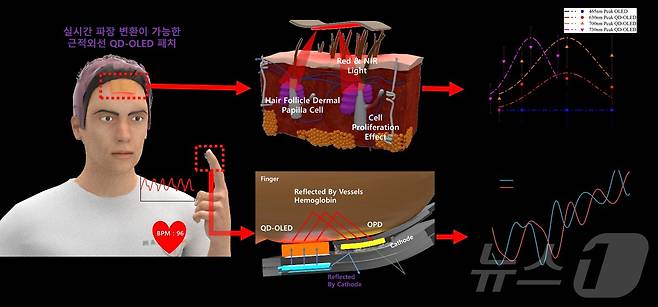 모발 증식 및 심박수 측정용 고유연 QD-OLED 패치 플랫폼. (가천대 제공)/뉴스1