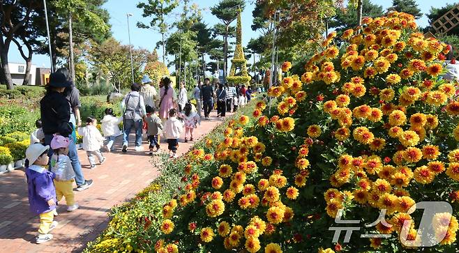 지난 24일 대전 유성구 유림공원 일대에서 열린 유성국화축제장에서 나들이 나온 시민들이 가을을 즐기고 있다. 2024.10.24/뉴스1 ⓒ News1 김기태 기자