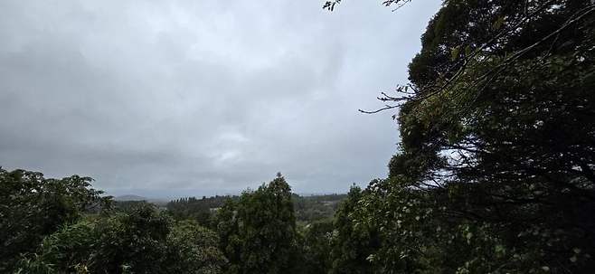 viewimage.php?id=23b2db27ebc637&no=24b0d769e1d32ca73de98ffa1bd62531904e3409f6e528d418e9c4060d2f6d4a487ba8a5c981dcdcaf1a076d9d624e43624f3cb9461d047cb49f40accb7699af9a5df5