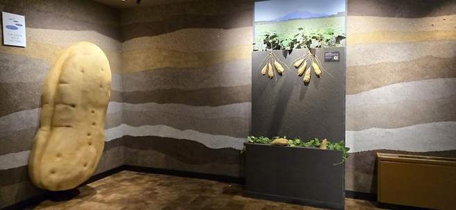 viewimage.php?id=23b2db27ebc637&no=24b0d769e1d32ca73de98ffa1bd62531904e3409f6e528d418e9c4060d2f6d4a487ba8a5c981dcdcaf1a076d9d624e43624f3cb9461d047db09f14a59d209faf1952f3