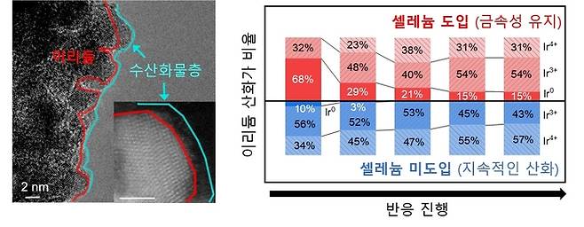 셀레늄 도입에 따른 표면 수산화물층 형성과 이에 따른 이리듐 산화 및 용출 억제