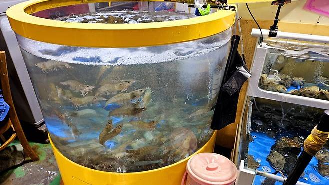 20241102_165257.jpg 캠핑 2일차) 저녁은 소고기와 자연산 대하 그리고 무늬오징어!!!!