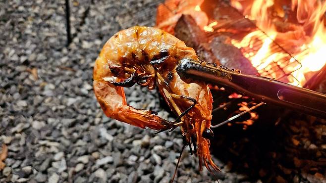 20241102_183203.jpg 캠핑 2일차) 저녁은 소고기와 자연산 대하 그리고 무늬오징어!!!!