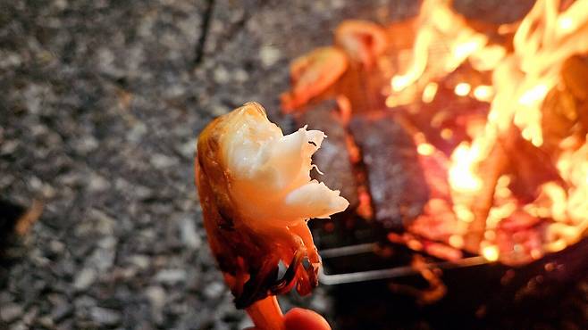 20241102_183538.jpg 캠핑 2일차) 저녁은 소고기와 자연산 대하 그리고 무늬오징어!!!!