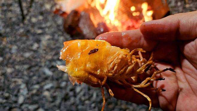 20241102_184304.jpg 캠핑 2일차) 저녁은 소고기와 자연산 대하 그리고 무늬오징어!!!!