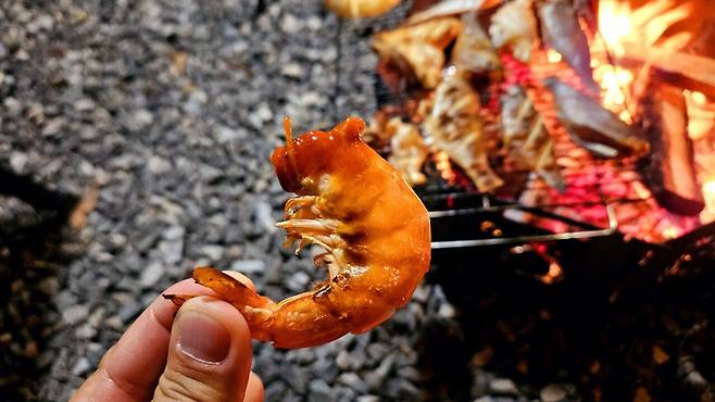 20241102_190828.jpg 캠핑 2일차) 저녁은 소고기와 자연산 대하 그리고 무늬오징어!!!!
