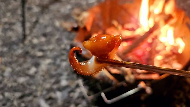 20241102_195116.jpg 캠핑 2일차) 저녁은 소고기와 자연산 대하 그리고 무늬오징어!!!!