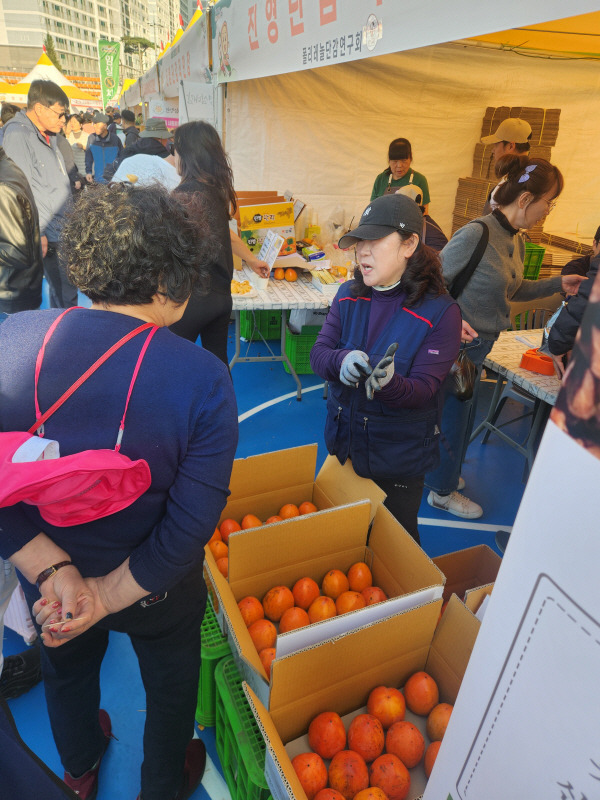 3일 진영공설운동장에서 열리는 단감축제장에서 자원봉사자들이 탐방객에게 단감 구매를 권유하고 있다. 박동필 기자