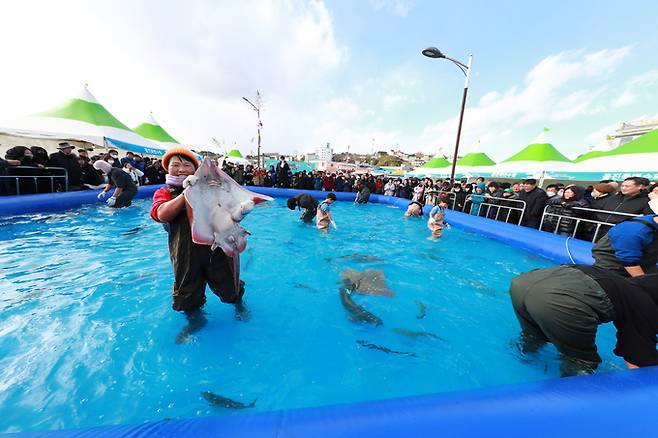 죽변항수산물축제.