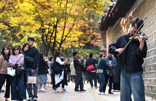 악사의 바이올린 연주가 노랗게 물든 단풍과 함께 가을 정취를 더합니다. 덕수궁 돌담길을 산책하던 시민 모두 쉽게 발을 떼지 못하고 연주에 푹 빠져듭니다.  한주형 기자