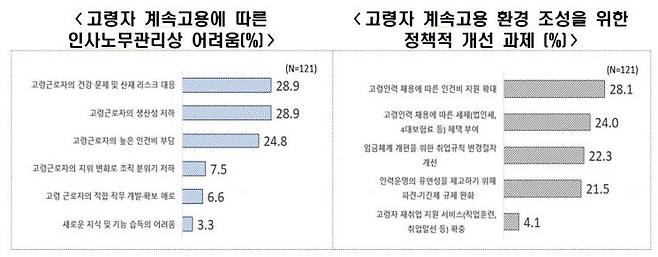 고령자 계속고용에 따른 인사노무관리상 어려움(왼쪽), 고령자 계속고용 환경 조성을 위한 정책적 개선 과제. 한경협 제공