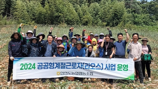 태안지역 농촌 현장에 투입된 라오스 계절근로자들 모습