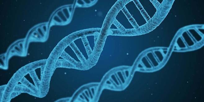 대용량 기록물을 장기 저장하는 데 적합한 대안의 저장매체로 디엔에이(DNA)가 주목받고 있다. 정보를 네가지 염기(아데닌·티민·구아닌·시토신)로 저장하는 기존 방식과는 달리, 훨씬 더 간편하게 후성유전 물질을 이용해 0과 1로 빠르게 저장하는 새로운 기법이 최근 발표됐다. 픽사베이