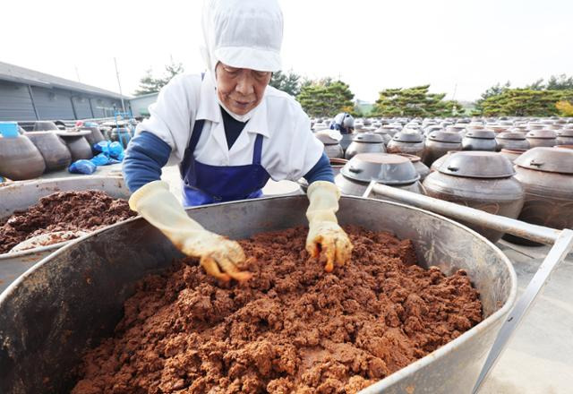 5일 오후 경기 안성시 서일농원에서 직원들이 장을 관리하는 모습. 안성=연합뉴스