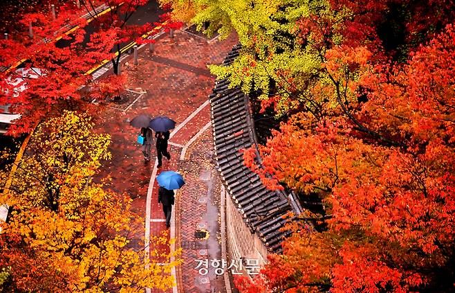 지난 2008년 10월 31일. 단풍이 곱게 물든 서울 덕수궁 돌담길을 시민들이 우산을 쓰고 지나가고 있다. 정지윤 선임기자