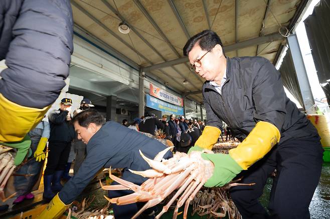 김광열 군수가 대게 선별작업을 돕고 있다. 영덕군 제공