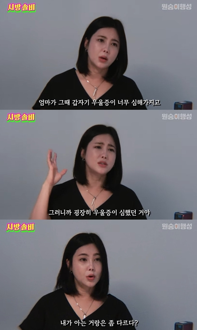 ‘시방솔비’ 채널 캡처