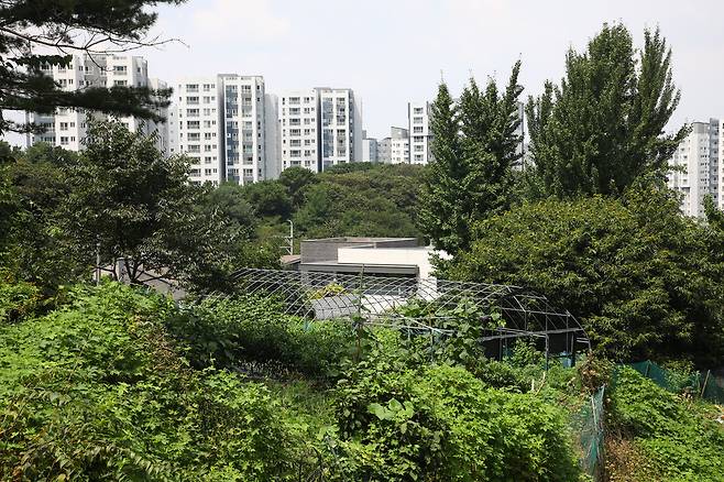 정부가 부동산 관계장관회의를 통해 서울과 수도권의 그린벨트를 활용해 올해 5만가구. 내년 3만가구 규모의 신규 택지 후보지를 발표하겠다고 밝힌 가운데 8월14일 서울 그린벨트 지역 중 하나인서초구 내곡동 개발제한구역 일대 모습. 멀리 아파트가 보인다. ⓒ 시사저널 임준선