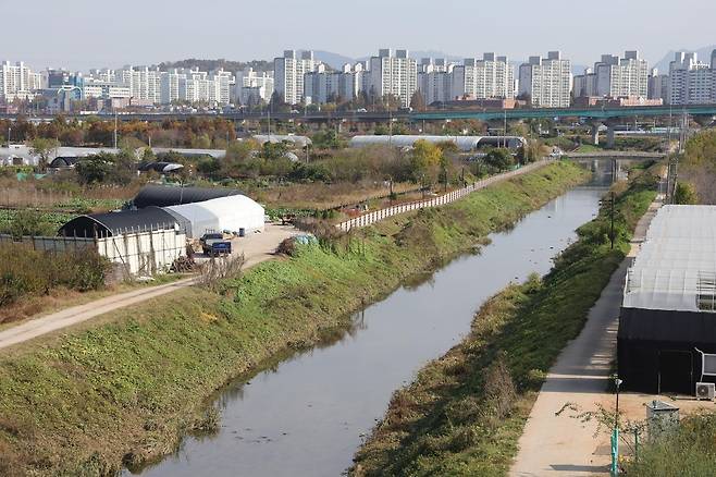 경기 고양시 대장동 일원 [촬영 임병식 기자]