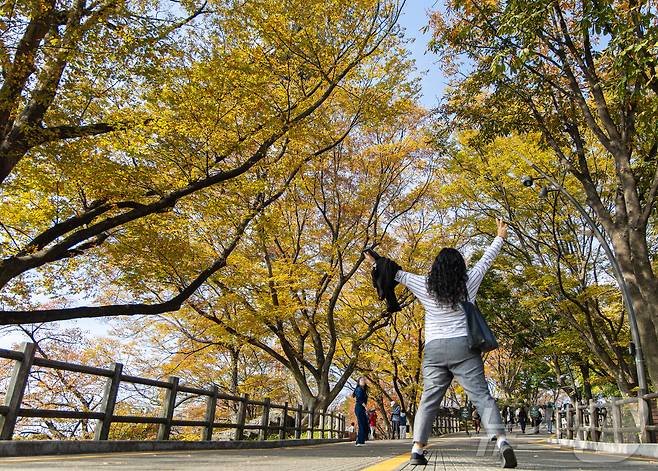 기온이 뚝 떨어진 5일 서울 중구 남산을 찾을 관광객들이 단풍길을 거닐고 있다. 2024.11.5/뉴스1 ⓒ News1 이재명 기자