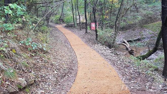 정비한 영동 무령산 등산로  (영동군 제공) /뉴스1