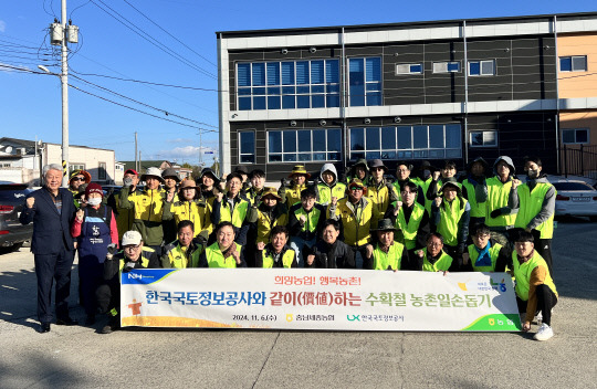 수확철 일손돕기에 나선 농협 충남세종본부 및 한국국토정보공사 대전세종충남지역본부 관계자들. 충남세종농협 제공.