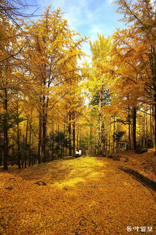 전승훈 기자 raphy@donga.com