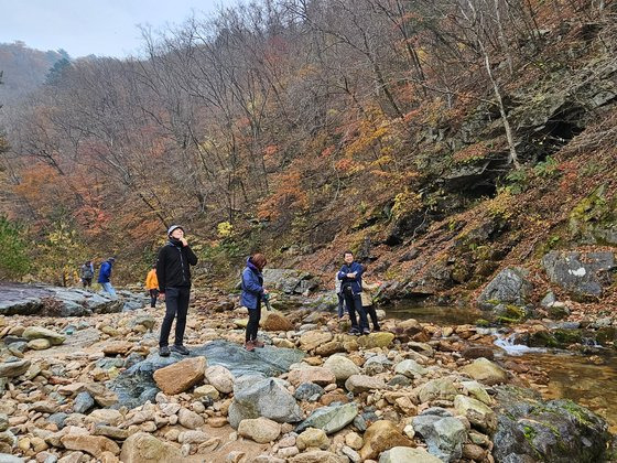 (사)인제천리길이 필례계곡에 새롭게 만든 길.