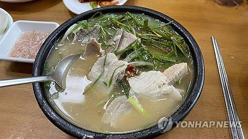 김해가 자랑하는 맛 돼지국밥 (김해=연합뉴스) 최병길 기자 = 경남지역 최대 양돈농가가 있는 김해시가 자랑하는 맛 돼지국밥. 시는 전국체전에 참가하는 선수, 임원들에게 지역의 신선한 식재료로 만든 돼지국밥을 꼭 맛보라고 추천하고 있다. 2024.10.10  choi21@yna.co.kr (끝)