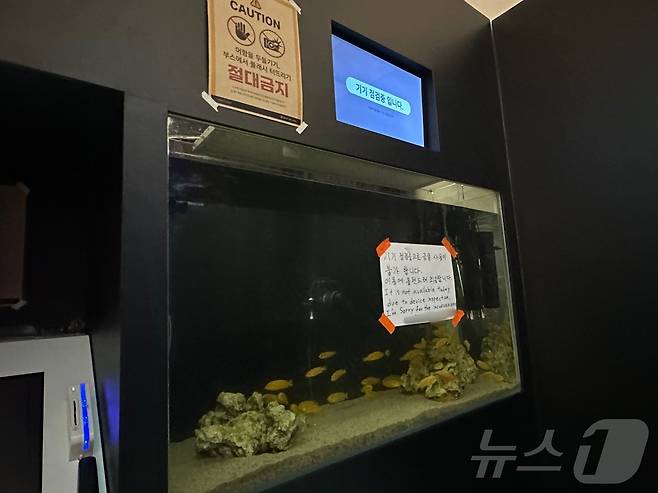 서울 성동구 성수동의 한 '물고기 네컷사진' 포토부스 내부 모습. 어항 뒤편으로 카메라가 있다. ⓒ 뉴스1 홍유진 기자