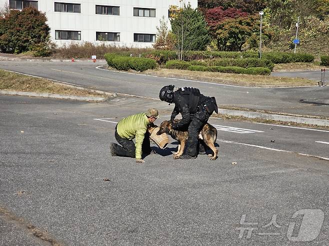 경기남부경찰청이 7일 경기 용인시 언남동 경찰대학(구)에서 '2024 하반기 대테러 관계기관 합동훈련'을 진행하고 있다.ⓒ News1 유재규 기자