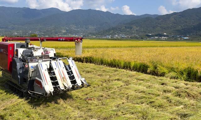 사진은 기사의 특정 내용과 관련 없음. 이미지투데이