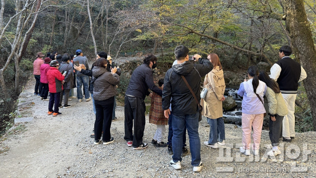 ▲선암사 입구에서 사진을 찍는 순천시티투어 참여자들ⓒ순천시