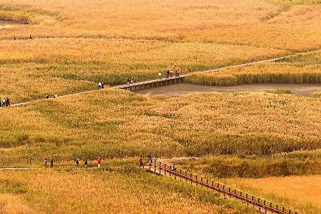 / 정원도시센터(순천만국가정원)