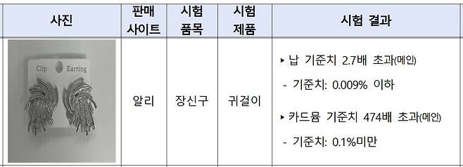 [서울=뉴시스]알리 귀걸이. 2024.11.08. (사진=서울시 제공) *재판매 및 DB 금지