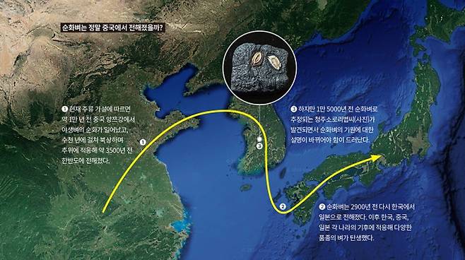 순화벼는 정말 중국에서 전해졌을까. 구글어스, 과학동아 Nature 제공