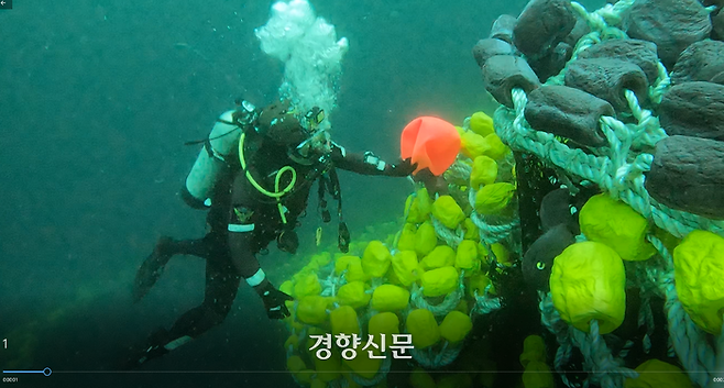 침몰한 금성호가 어망에 둘러쌓여 본체를 보이지 않고 있다. 지난 8일 수중 수색 중인 잠수사. 제주해경 제공