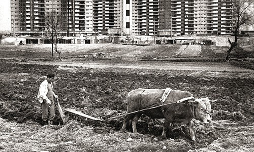 서울 강남 압구정동 개발 당시 풍경. 미지북스 제공