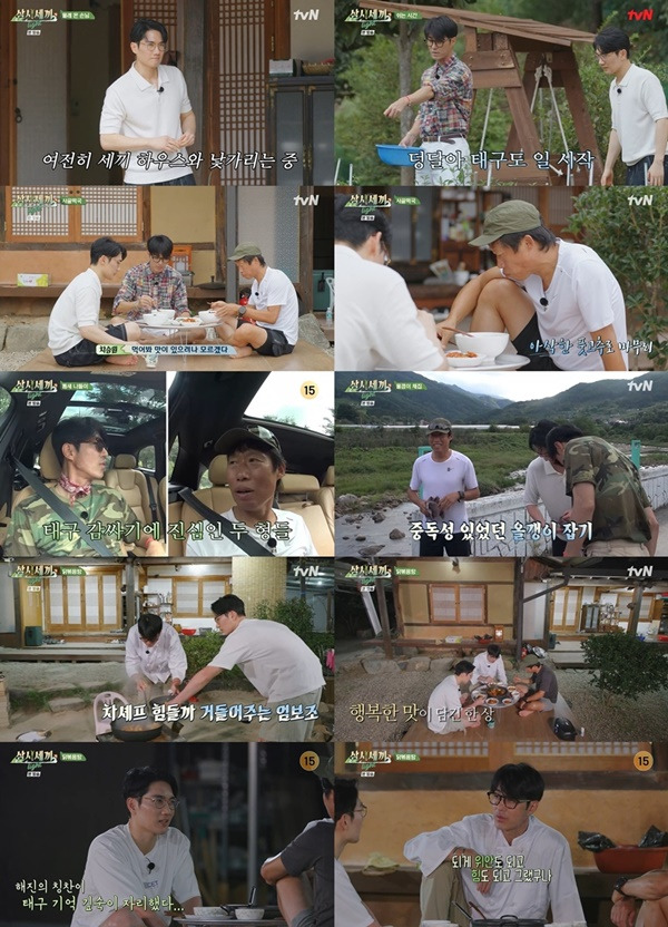 삼시세끼 Light / 사진=tvN