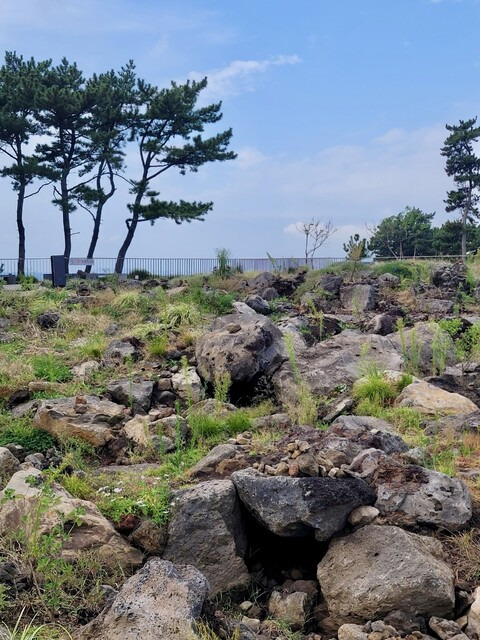 검은 돌밭 공원 밑에는 25만년의 지질학적 시간이 쌓인 주상절리의 속살이 숨어 있다. 사진 임한솔