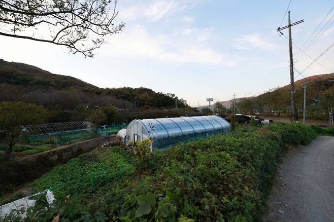 그린벨트가 해제되는 서초구 내곡동 일대 주민들 사이에서는 기대와 우려의 목소리가 공존하고 있다. 사진은 서초구 원지동 일대 모습. /사진=뉴시스