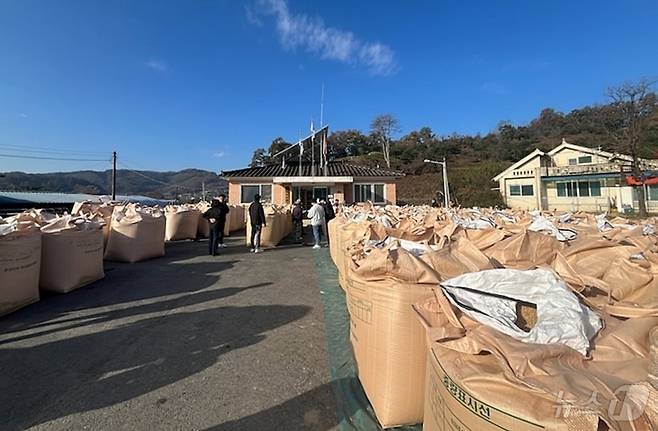 괴산군 공공비축미곡 매입 현장.(괴산군 제공)/뉴스1