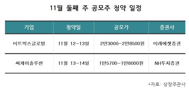 11월 둘째 주 공모주 청약 일정ⓒ데일리안